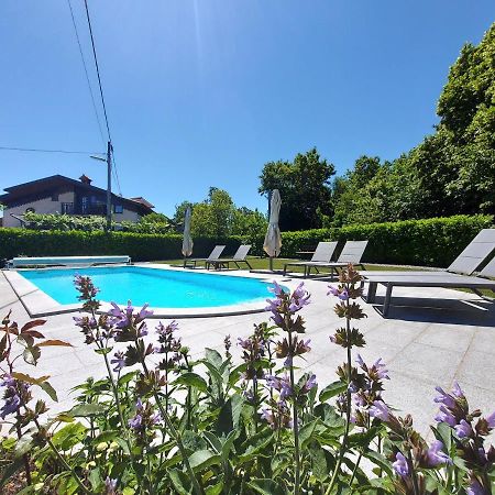 Guesthouse Pri Mihelovih Sežana エクステリア 写真