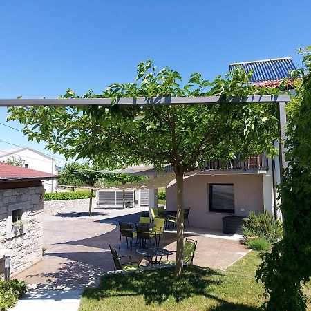 Guesthouse Pri Mihelovih Sežana エクステリア 写真