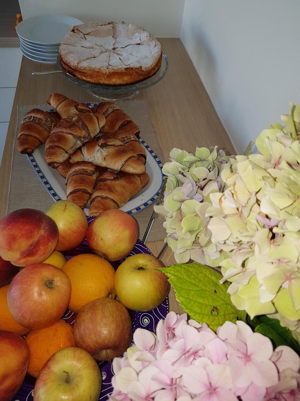 Guesthouse Pri Mihelovih Sežana エクステリア 写真