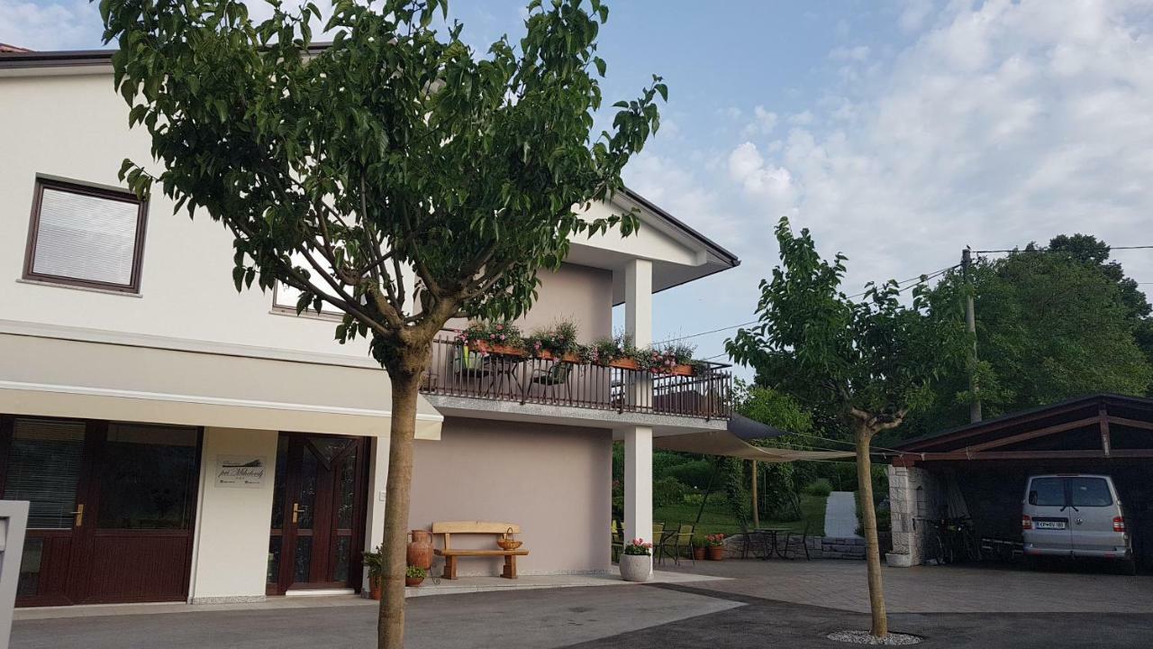 Guesthouse Pri Mihelovih Sežana エクステリア 写真