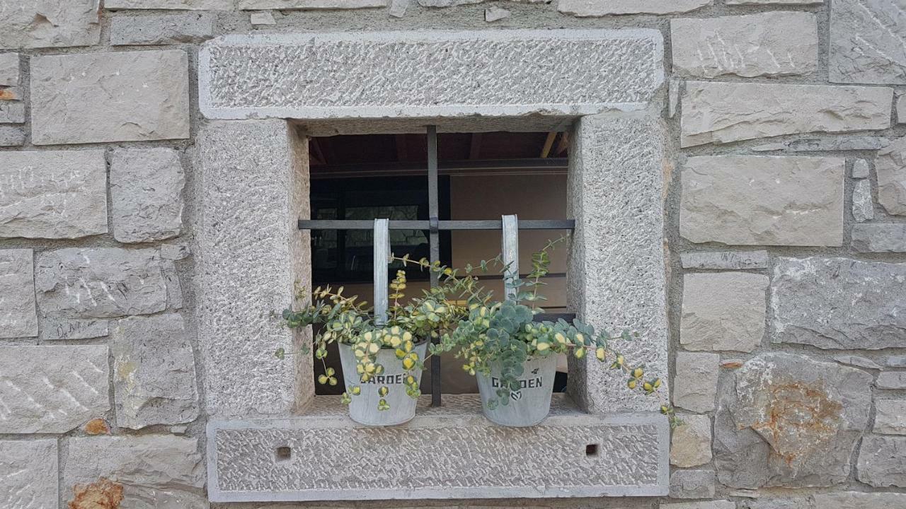 Guesthouse Pri Mihelovih Sežana エクステリア 写真