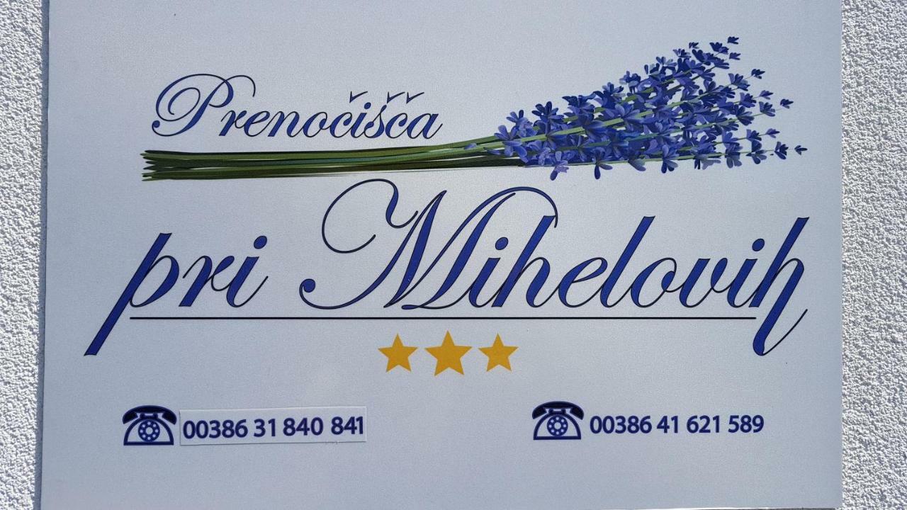 Guesthouse Pri Mihelovih Sežana エクステリア 写真